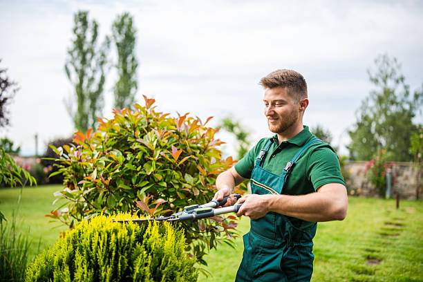 Professional landscaper at work